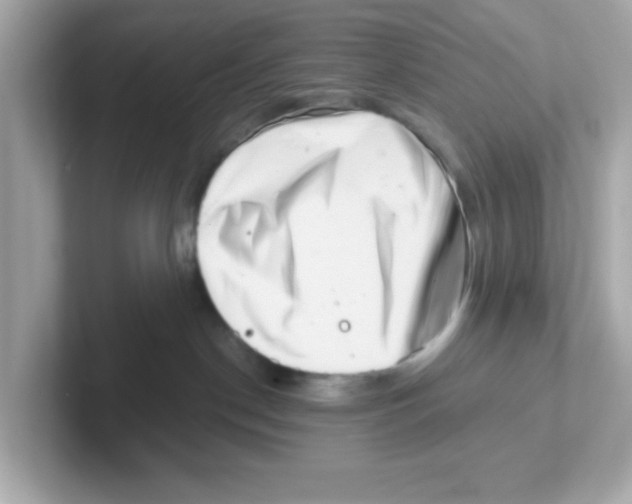 X0000101100190200807241035