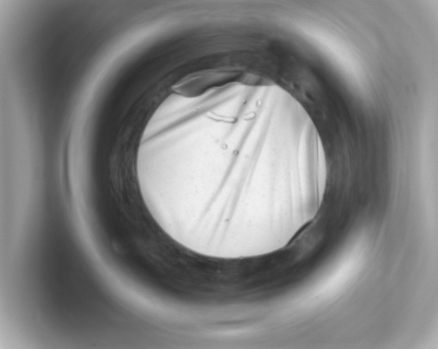 X0000101100191200807241035