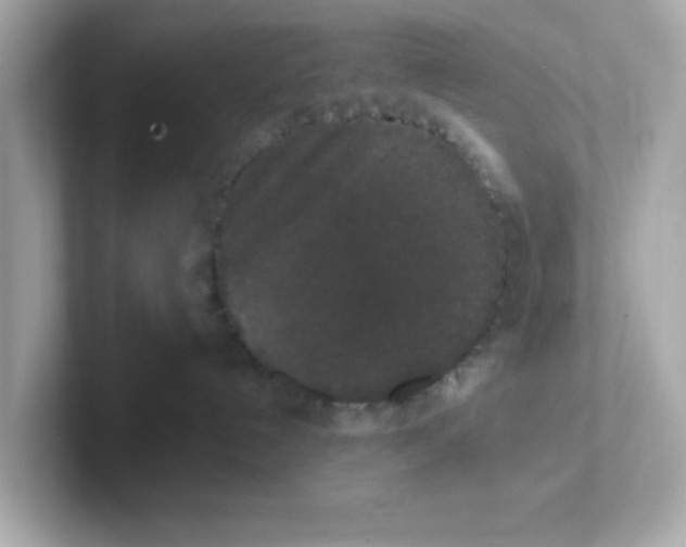 X0000101100192200807241035