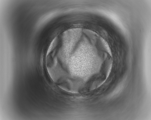 X0000101100194200807241035