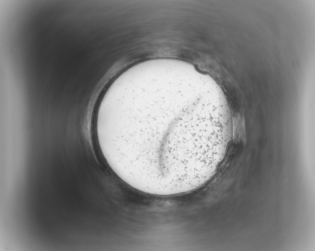 X0000101100195200807241035