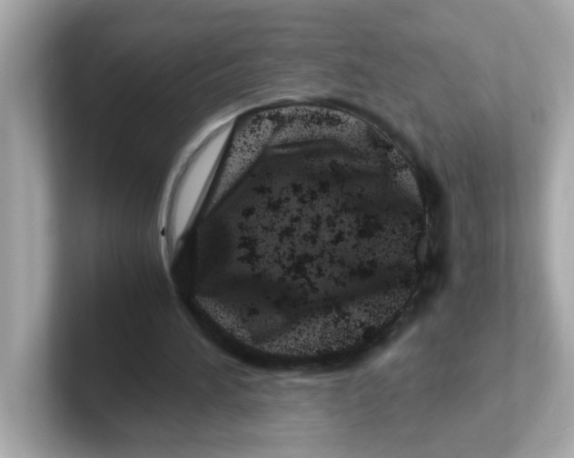 X0000101100196200807241035