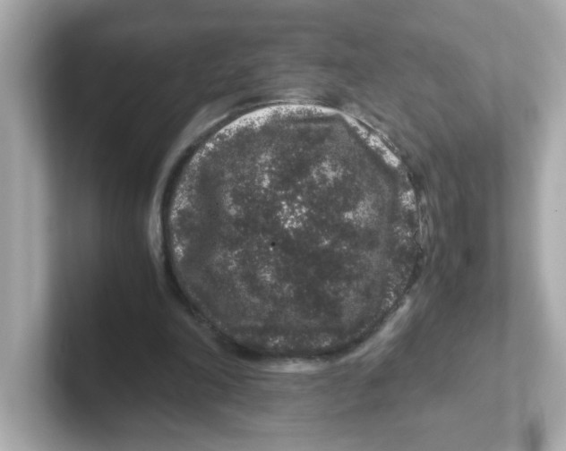 X0000101100198200807241035