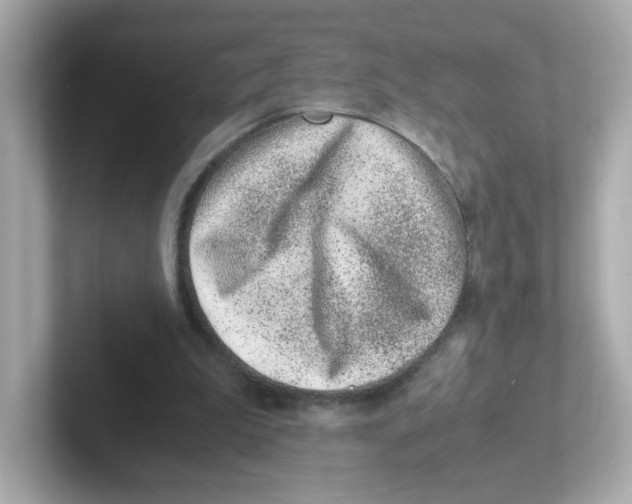 X0000101100199200807241035