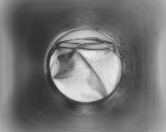 X0000101100200200807241034