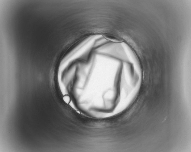X0000101100201200807241034