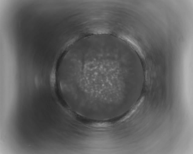 X0000101100202200807241034
