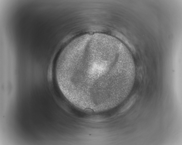X0000101100203200807241034