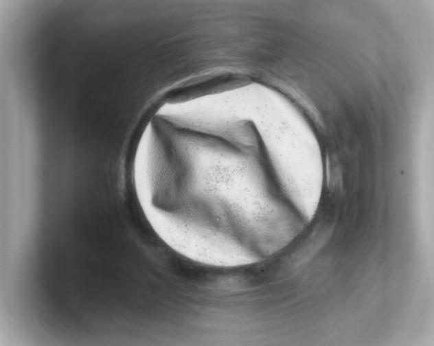 X0000101100204200807241034