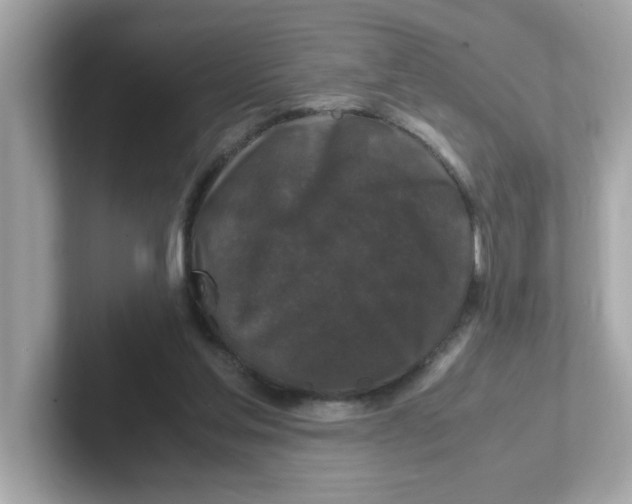 X0000101100205200807241034