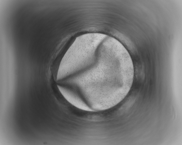 X0000101100208200807241034
