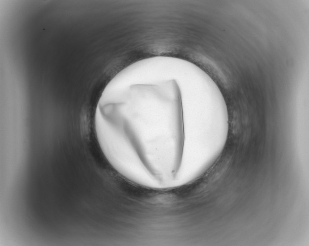 X0000101100210200807241034