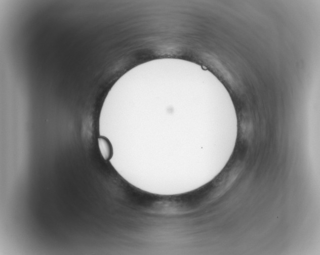 X0000101100211200807241034