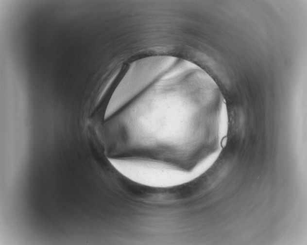 X0000101100212200807241034