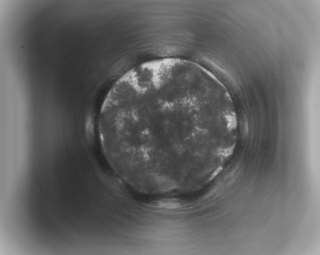 X0000101100214200807241034