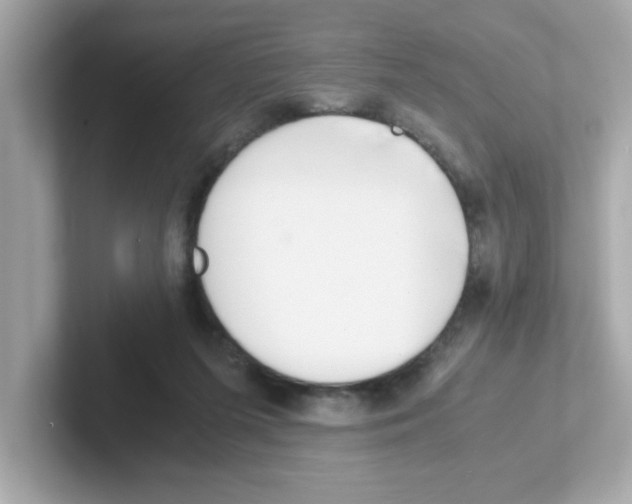 X0000101100215200807241034