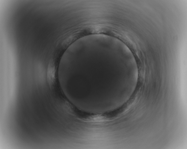 X0000101100219200807241034