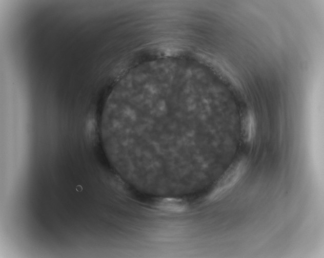 X0000101100222200807241034