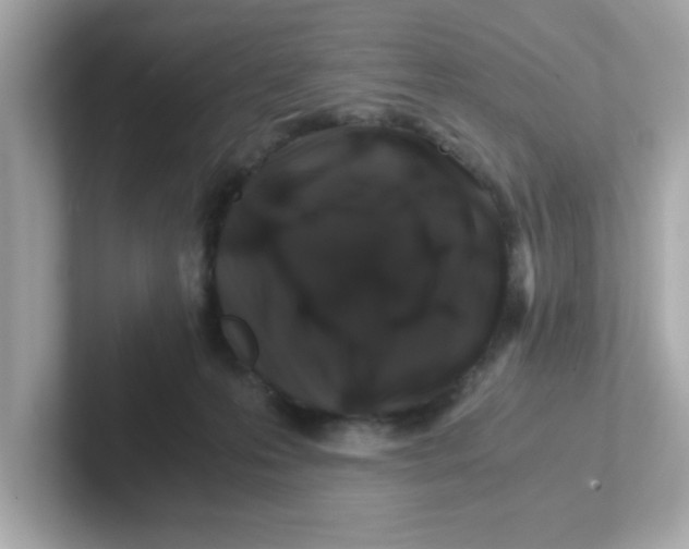 X0000101100223200807241034