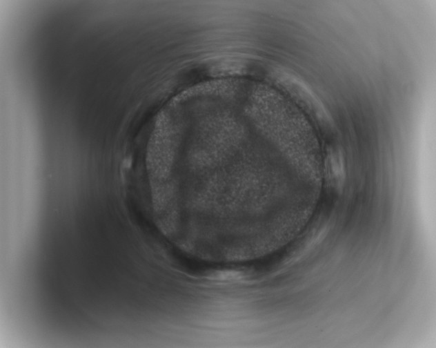 X0000101100224200807241034