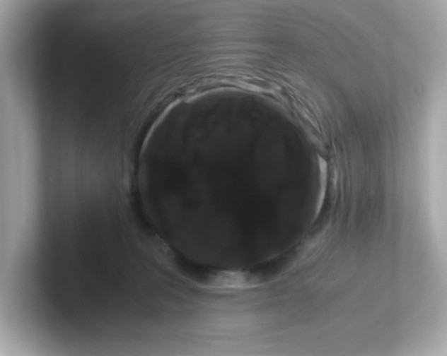 X0000101100227200807241034