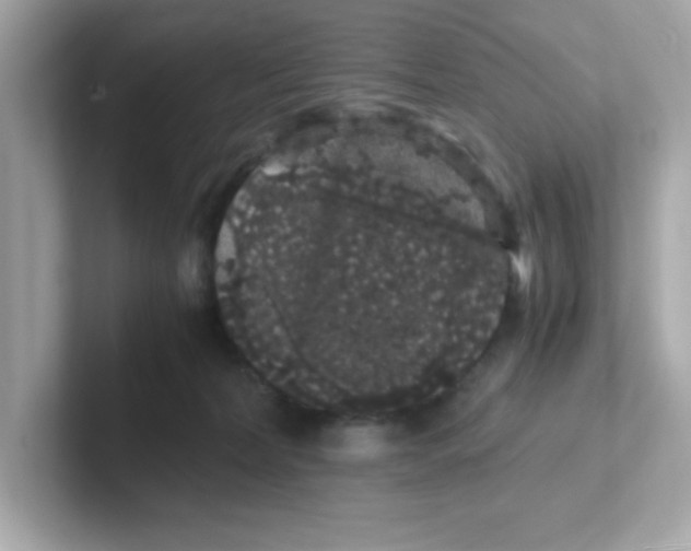 X0000101100228200807241034