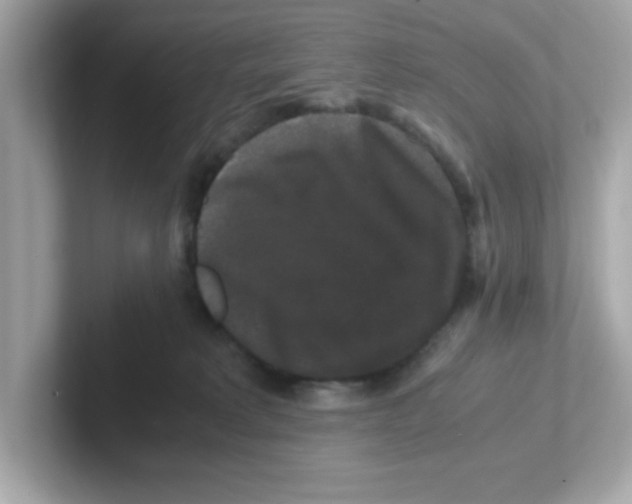 X0000101100229200807241034