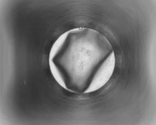 X0000101100232200807241034