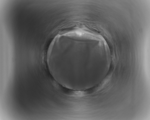 X0000101100233200807241034