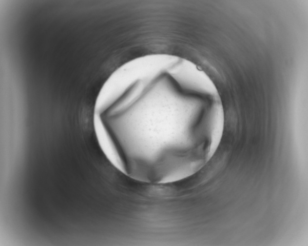 X0000101100234200807241034