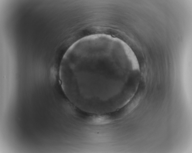 X0000101100235200807241034