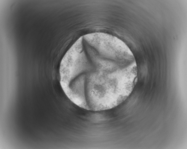 X0000101100236200807241034