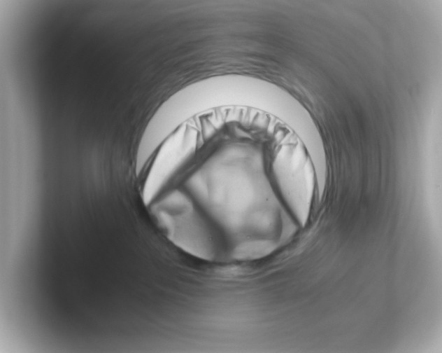 X0000101100237200807241034