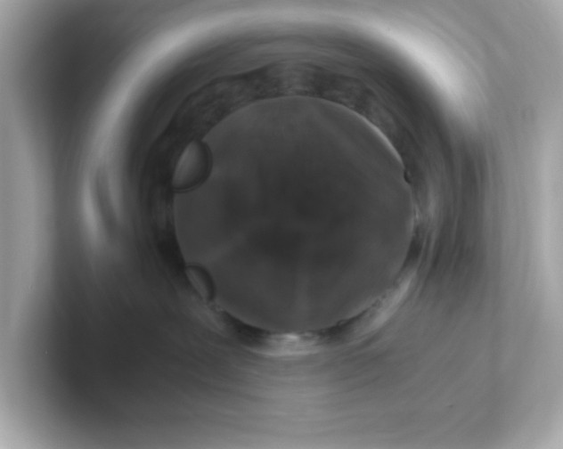 X0000101100239200807241034