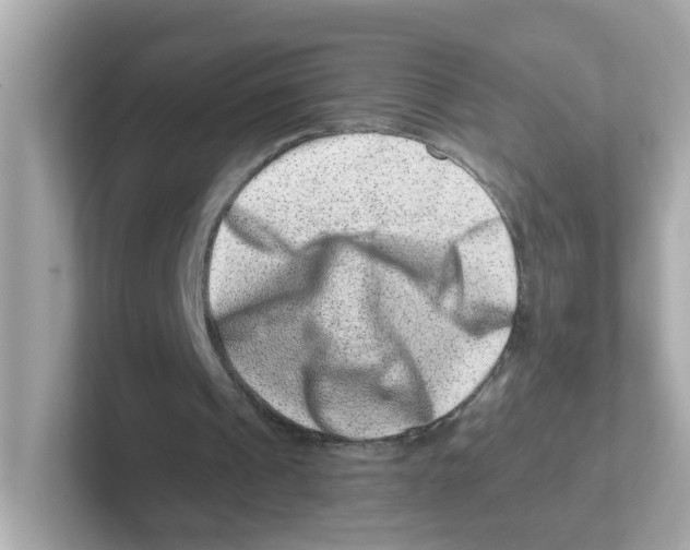 X0000101100241200807241033