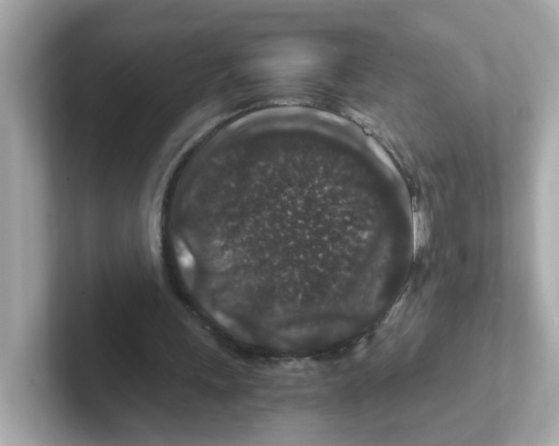 X0000101100243200807241033