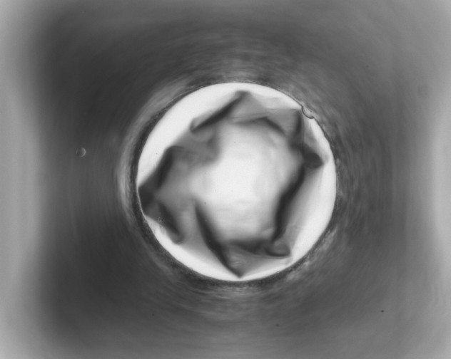 X0000101100245200807241033