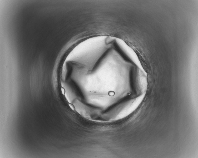 X0000101100246200807241033