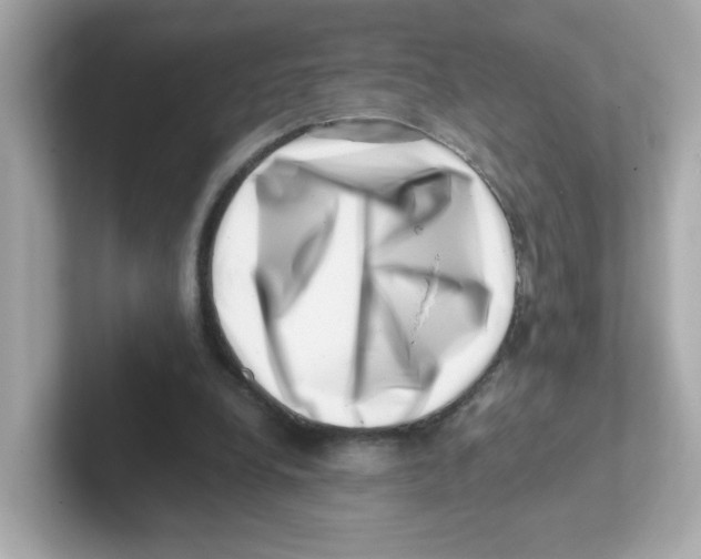X0000101100248200807241033