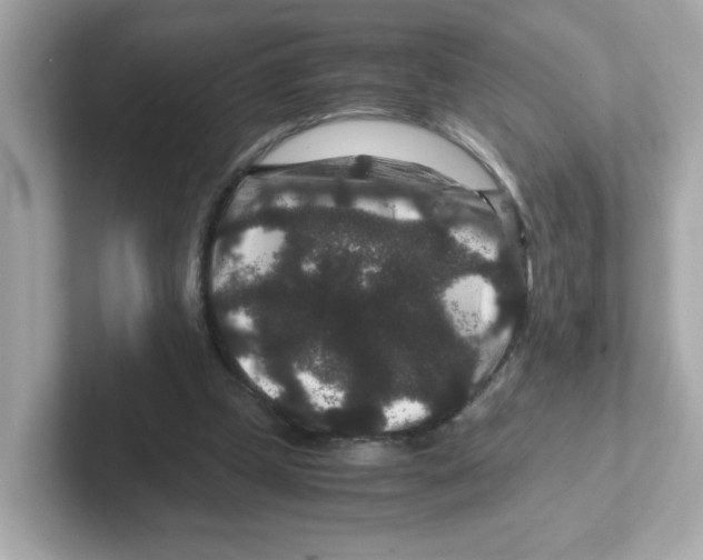 X0000101100249200807241033