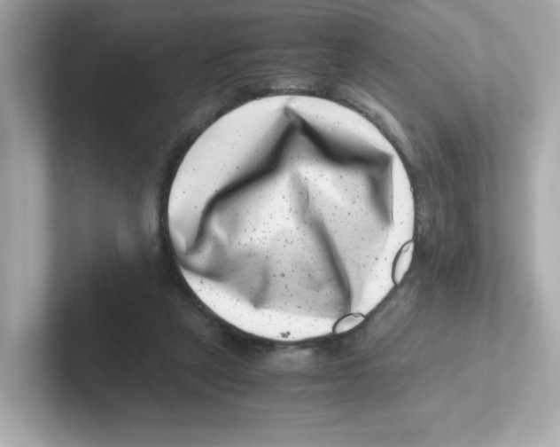 X0000101100257200807241034