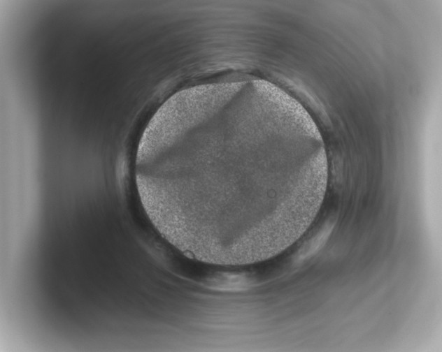 X0000101100260200807241034