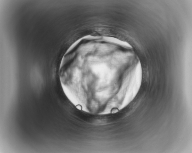 X0000101100263200807241034
