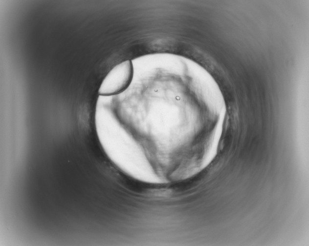X0000101100266200807241034