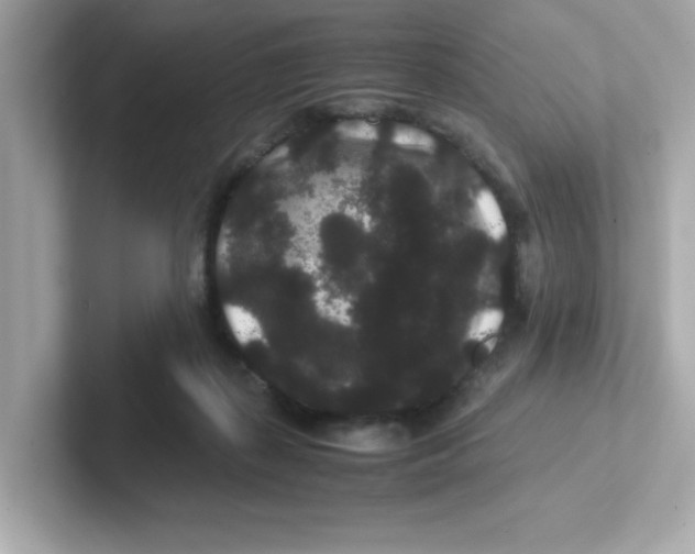 X0000101100267200807241034