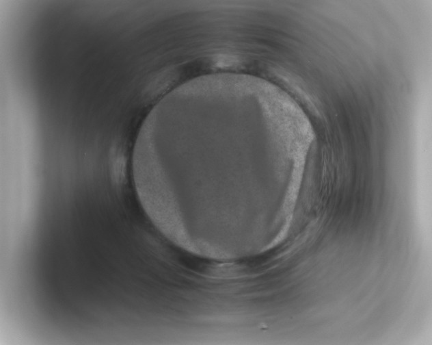 X0000101100269200807241034