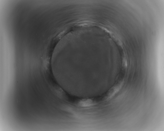 X0000101100271200807241034
