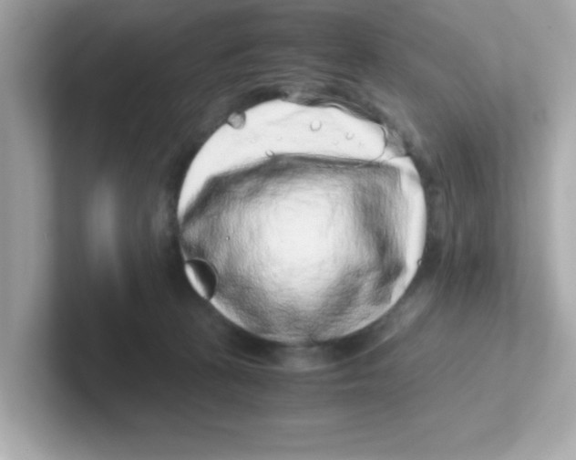 X0000101100273200807241034