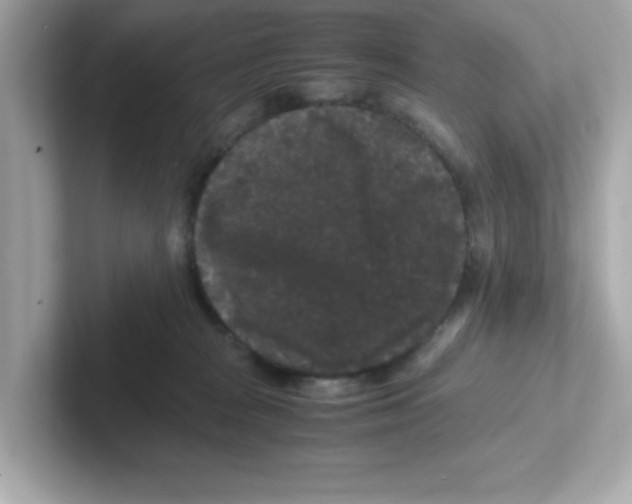 X0000101100277200807241034
