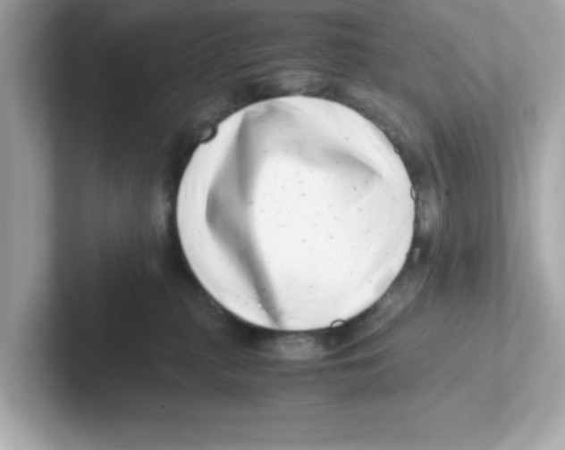 X0000101100279200807241034